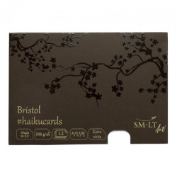 Haiku SM-LT bristol kartki w pudełku 308g 12ark 14.8x21cm - sklep plas