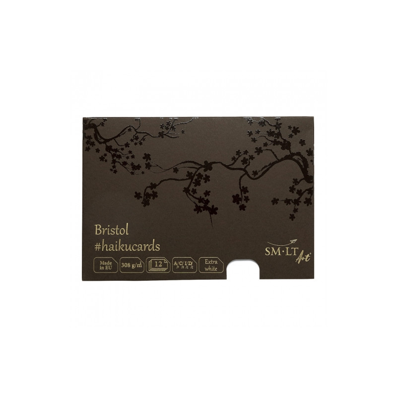 Haiku SM-LT bristol kartki w pudełku 308g 12ark 14.8x21cm - sklep plas