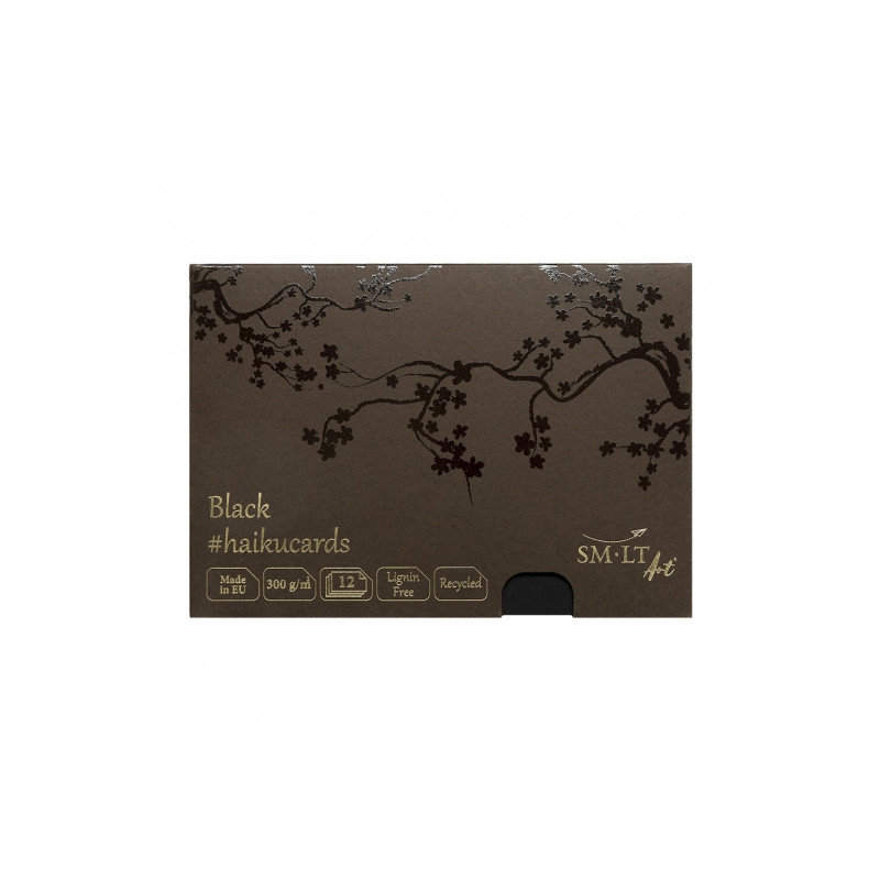 Haiku SM-LT black kartki w pudełku 300g 12ark 14.8x21cm - sklep plasty