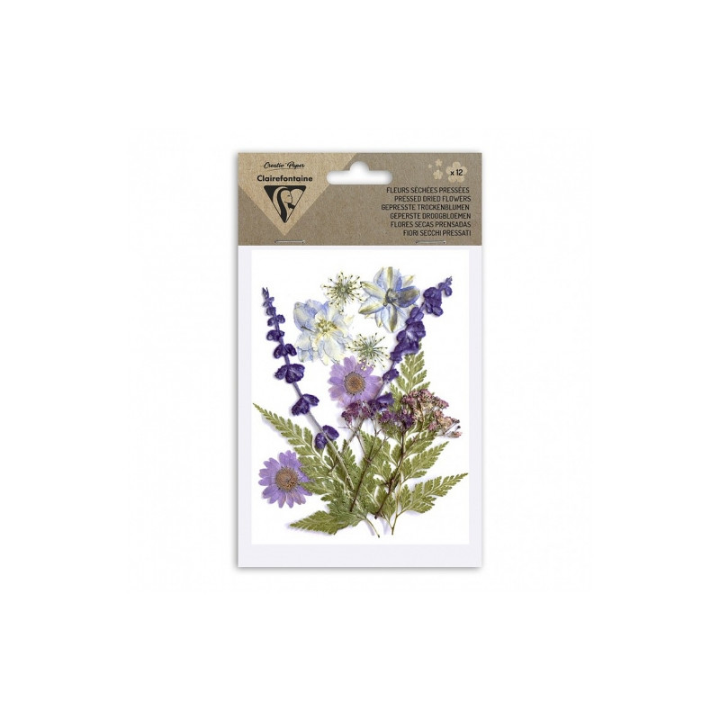 Clairefontaine dried flowers lavender