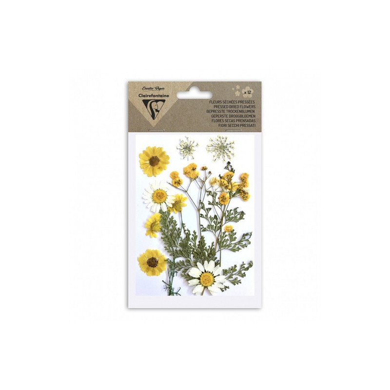 Clairefontaine dried flowers yellow