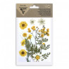 Clairefontaine dried flowers yellow