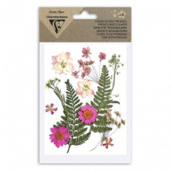 Clairefontaine dried flowers pink