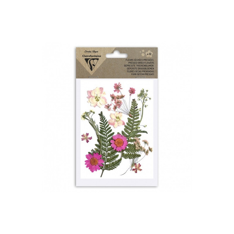 Clairefontaine dried flowers pink