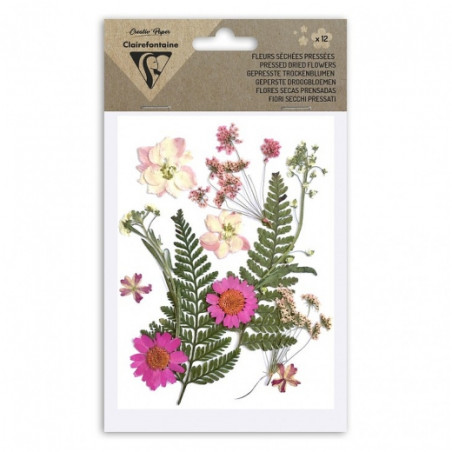 Clairefontaine dried flowers pink