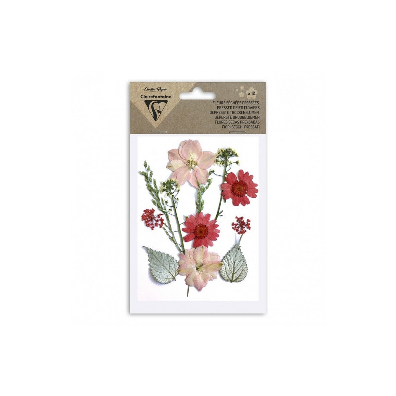 Clairefontaine dried flowers red