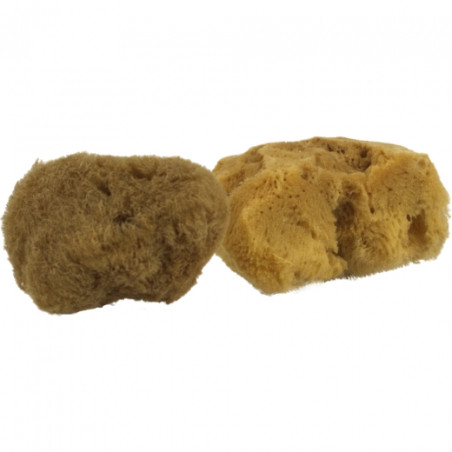 Kereso zestaw gąbek naturalnych 2szt.- sklep plastyczny szał dla plast