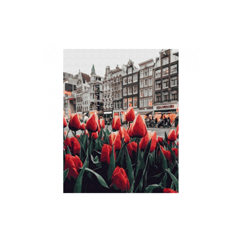Brushme numerowanka 40x50cm 24 kol amsterdamskie tulipany malowanie po