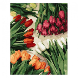 Brushme painting by numbers  40x50cm 24 col colorful tulips