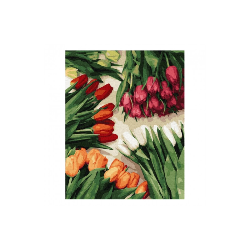 Brushme painting by numbers  40x50cm 24 col colorful tulips