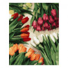Brushme painting by numbers  40x50cm 24 col colorful tulips