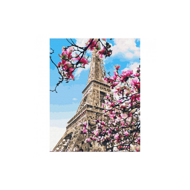 Brushme painting by numbers  40x50cm 23 col magnolia in Paris