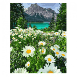 Brushme painting by numbers 40x50cm 28 col mountain meadow