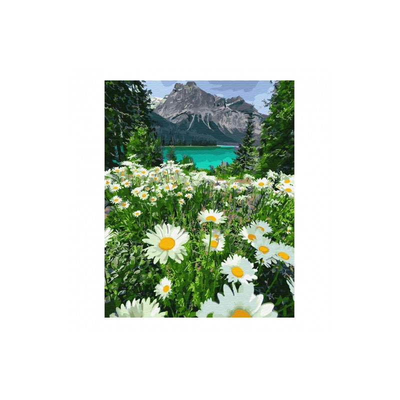 Brushme painting by numbers 40x50cm 28 col mountain meadow