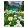 Brushme painting by numbers 40x50cm 28 col mountain meadow