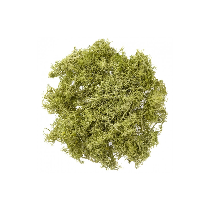 DP Craft moss 30g light green