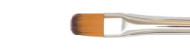 Raphael symbiose filbert 8040 synthetic brushes cat's tongue