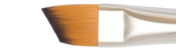 Raphael symbiose angular 8060 flat cut synthetic brushes
