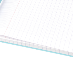 Clairefontaine mimesys zeszyt A4 we francuską linię 96 stron pastelowe