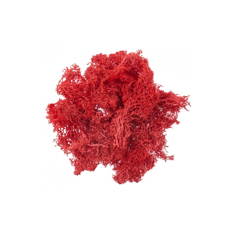 DP Craft moss 30g red