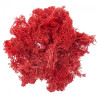 DP Craft moss 30g red