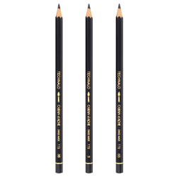 Caran d'Ache technalo pencil