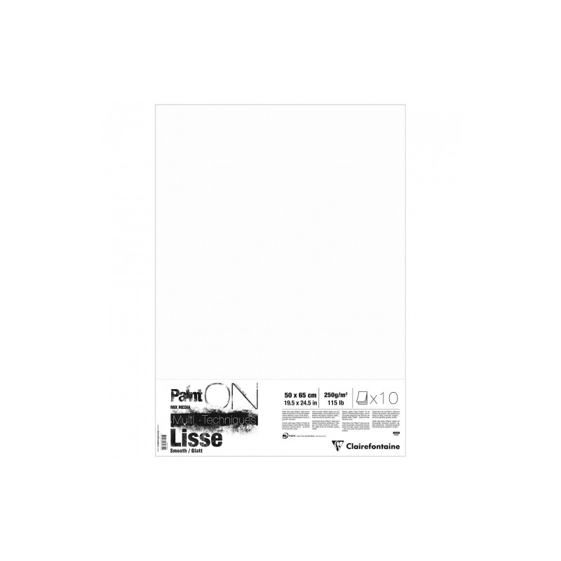 Clairefontaine paint on lisse smooth paper 50x65cm 250g 10sheets