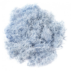 DP Craft moss 30g blue