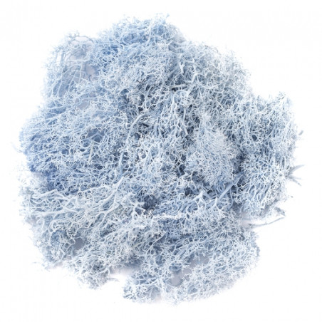 DP Craft moss 30g blue