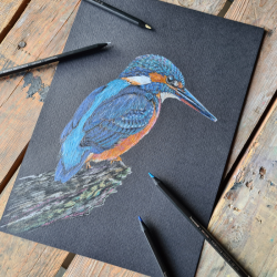 Bruynzeel Expression set of 12 metallic crayons