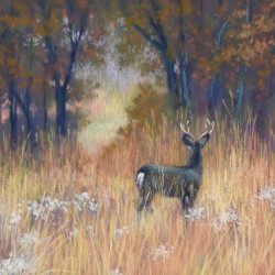 Unison Colour drawing zestaw suchych półpasteli w sztyfcie 8szt - skle