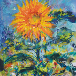 Unison Colour starter zestaw suchych półpasteli w sztyfcie 63szt 74091