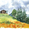 Schmincke horadam landscape basic edition watercolor set of 12 half cu