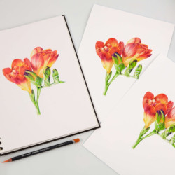 Derwent procolour zestaw kredek 72szt drewniana kasetka - sklep plasty