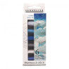 Sennelier summer sky set of 6 dry pastel stick halves