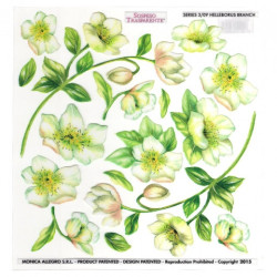 Sospeso Trasparente folia z nadrukiem kwiaty ciemiernik - sklep plasty