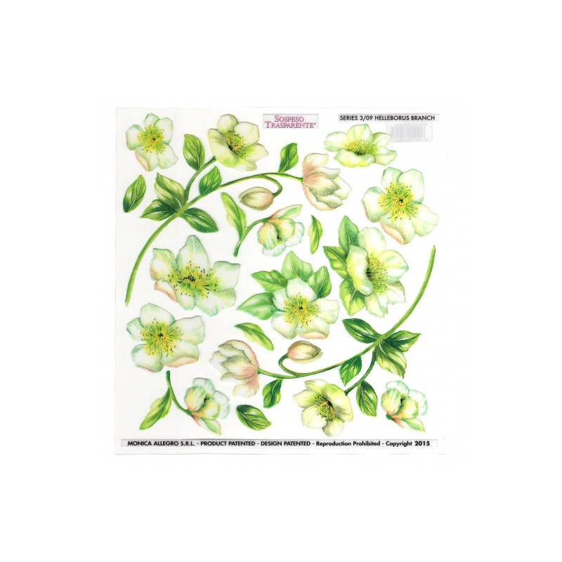 Sospeso foil with hellebore flowers print