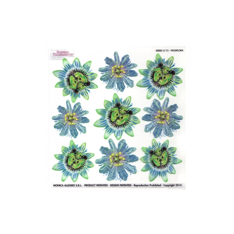 Sospeso Trasparente folia z nadrukiem kwiaty pasiflora - sklep plastyc
