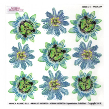 Sospeso Trasparente folia z nadrukiem kwiaty pasiflora - sklep plastyc