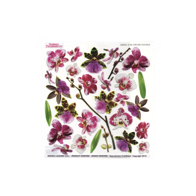 Sospeso Trasparente foil with an orchid flowers print