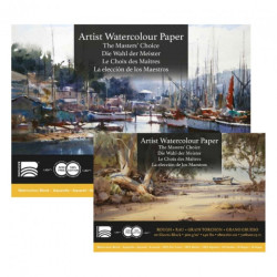 Baohong masters' choice coarse watercolor block 300g 20 sheets