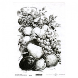 ITD transfer paper A4 005 fruit