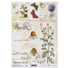 ITD transfer paper A4 021 flowers herbs