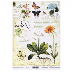 ITD transfer paper A4 026 flowers herbs