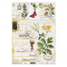 ITD transfer paper A4 028 flowers butterflies
