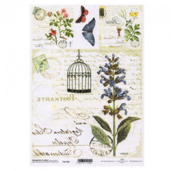 ITD transfer paper A4 029 flowers butterflies