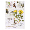 ITD transfer paper A4 030 flowers butterflies