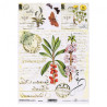 ITD transfer paper A4 031 flowers herbs