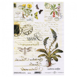 ITD transfer paper A4 032 flowers herbs