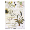ITD transfer paper A4 032 flowers herbs